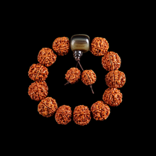 Nepal Rudraksha Bodhi Beads Bracelet